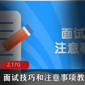 （面试技巧和注意事项）视频教程