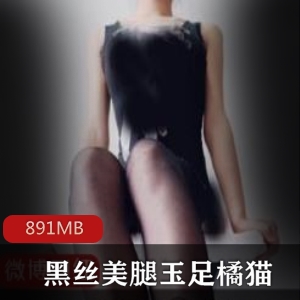 橘猫黑丝美腿小脚资源合集891MB